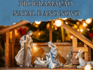 PROGRAMAO DE NATAL E ANO NOVO